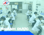 CHƯƠNG TRÌNH ĐÀO TẠO NGÀNH DƯỢC
